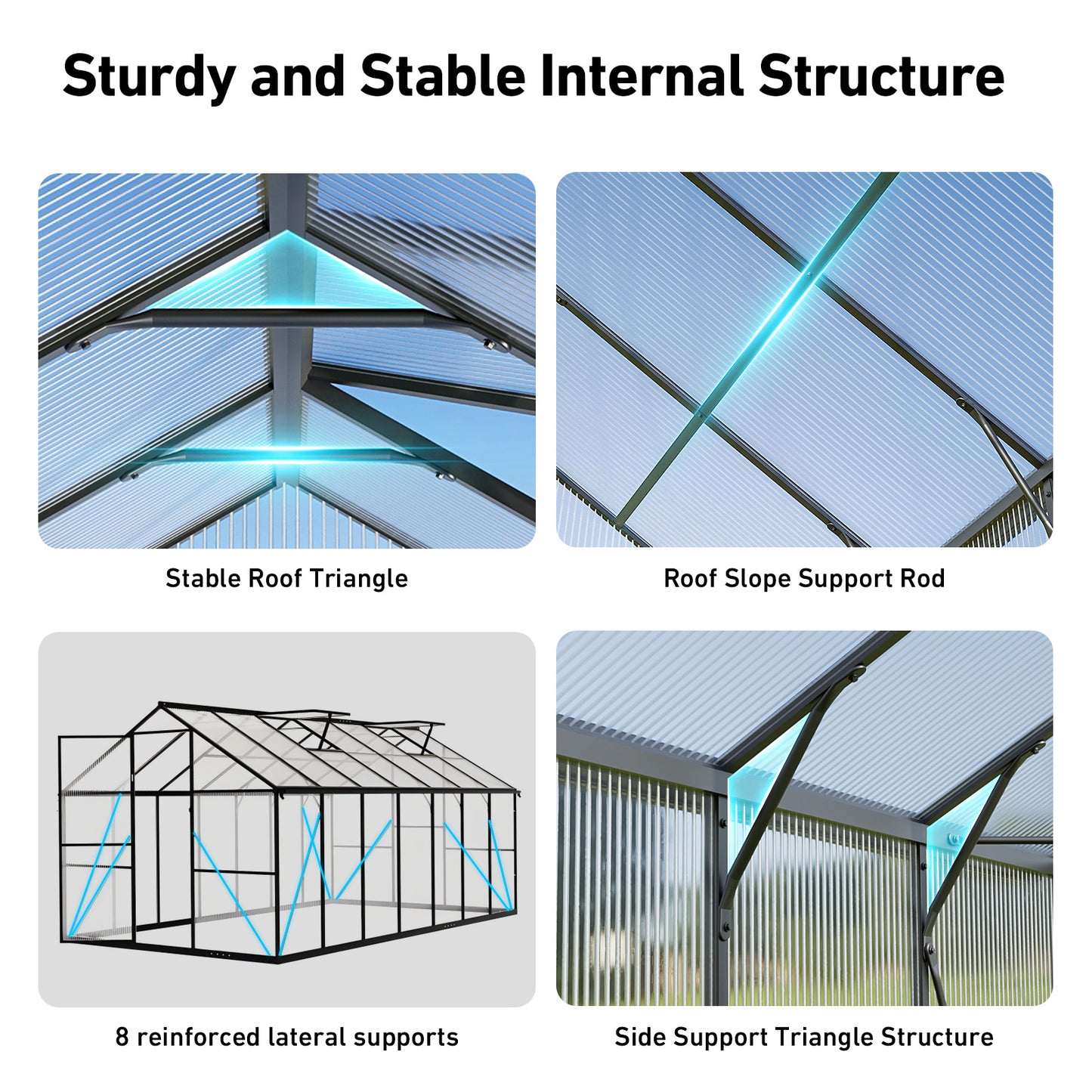 8×10FT Outdoor Walk-in Greenhouse with Thermometer Hygrometer, Heavy-Duty Polycarbonate Greenhouse with Reinforced Aluminum Frame for Garden, Backyard, or Winter Planting