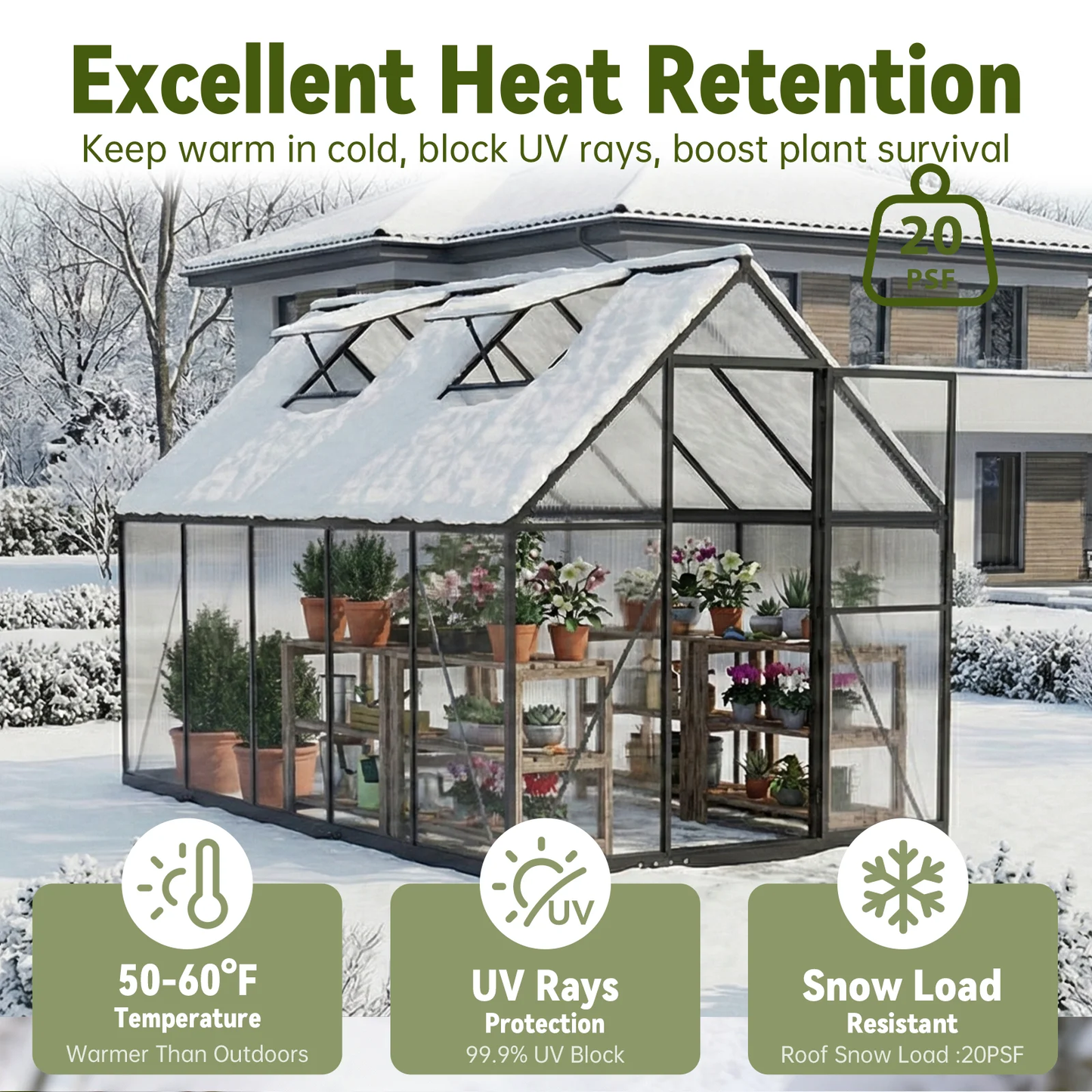 Sylviera 6x10ft Outdoor Walk-in Greenhouse with Thermometer Hygrometer, Heavy-Duty Polycarbonate Green House with Reinforced Aluminum Frame for Garden, Backyard, and Winter Planting